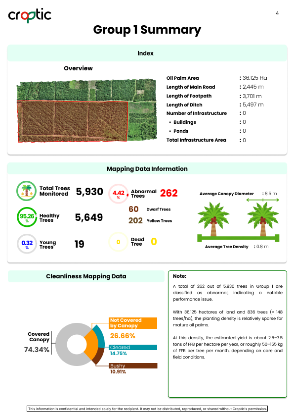 Contoh report analisis